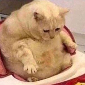 Meet your Posher, Maraya